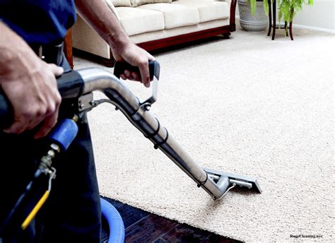 Book your appointment. . Carpet cleaning watertown ny